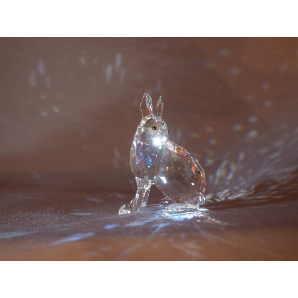 Swarovski Schneehase Polarhase Artic Hare SCS Event Piece 2011  1055005
