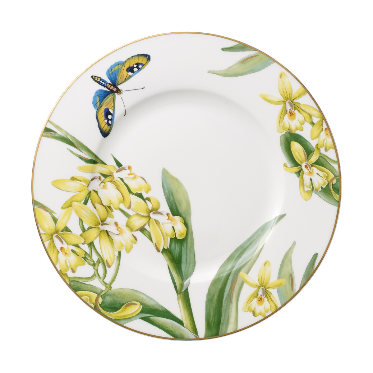 Villeroy & Boch Vorteilset 6 Stück Amazonia...