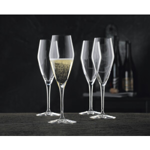 Nachtmann ViNova Champagner Set/4 0098075-0