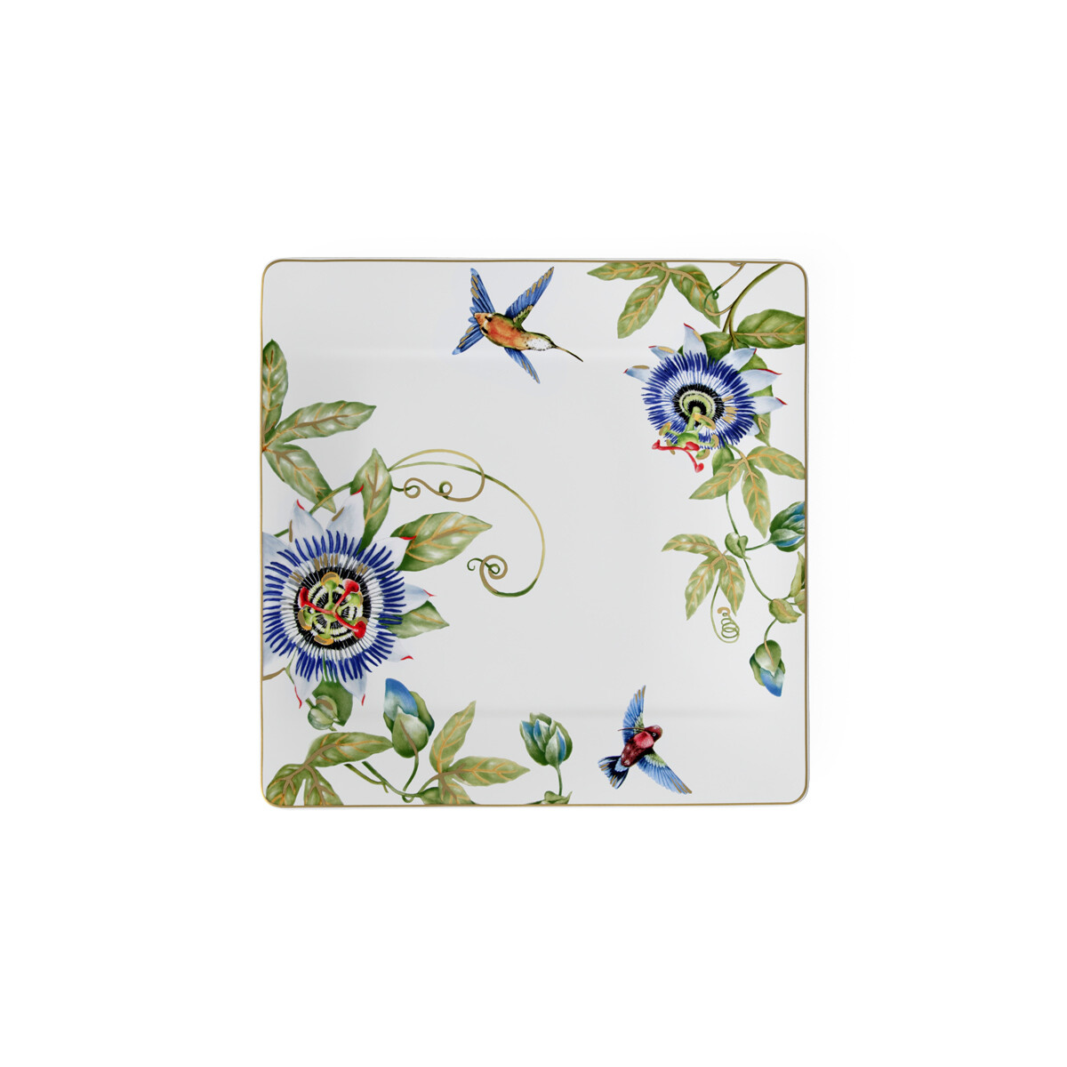 Amazonia Gourmetteller 350 x 350 x 24 mm | Villeroy &...