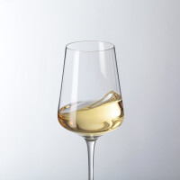 Leonardo Weinglas 12er Set PUCCINI Rotwein 6er Set und Weißwein 6er Set Gläserset 069554 + 069553