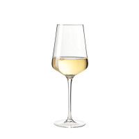 Leonardo Weinglas 12er Set PUCCINI Rotwein 6er Set und Weißwein 6er Set Gläserset 069554 + 069553