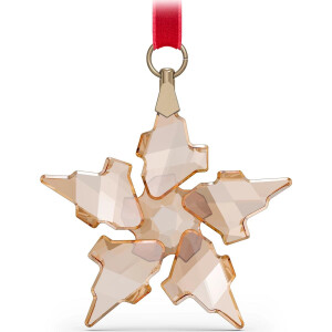 Swarovski Festive Ornament, klein 5583848