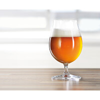 Spiegelau 6-teiliges Biertulpen-Set Beer Classics 4991884